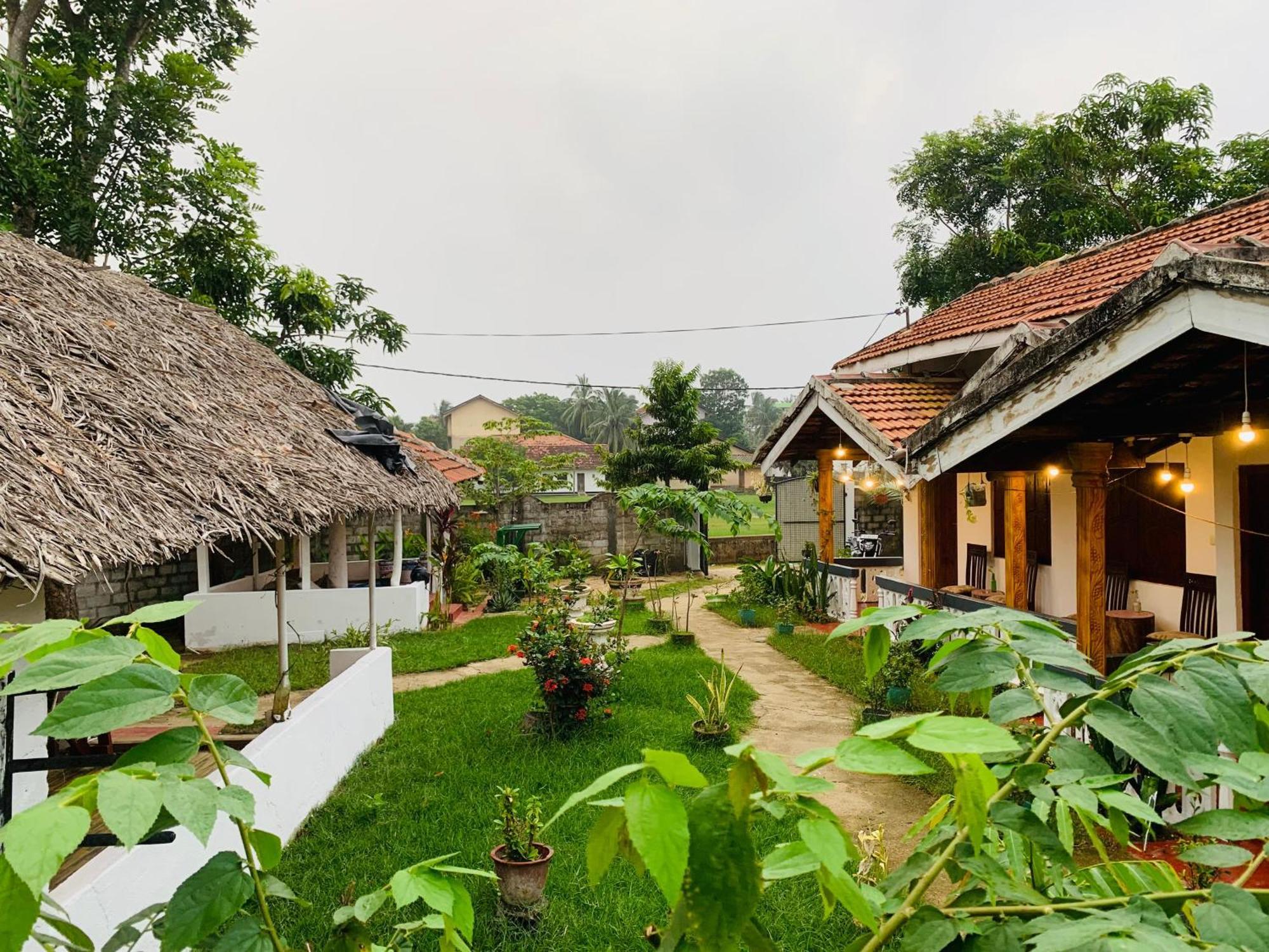 Little Fairy Home B&B Vịnh Arugam Ngoại thất bức ảnh